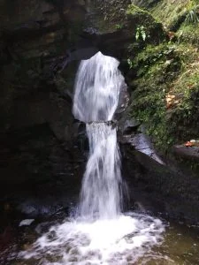 IMG 20181108 WA0021