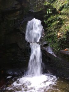 IMG 20181108 WA0021 768x1024 1