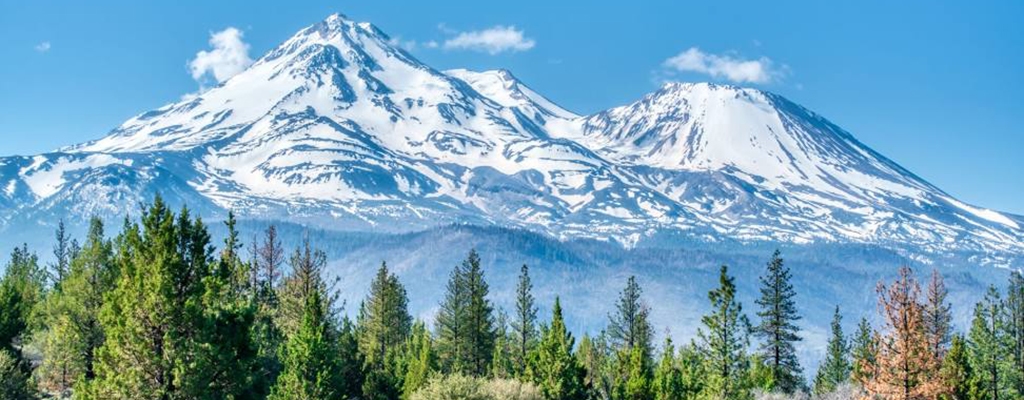 monte shasta1