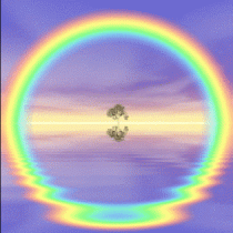 Kit-7-Rayos-Flores-del-Alma.gif